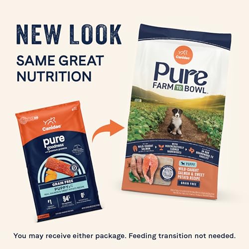 CANIDAE Pure de Granja con salmón servido en cuenco para cachorro.