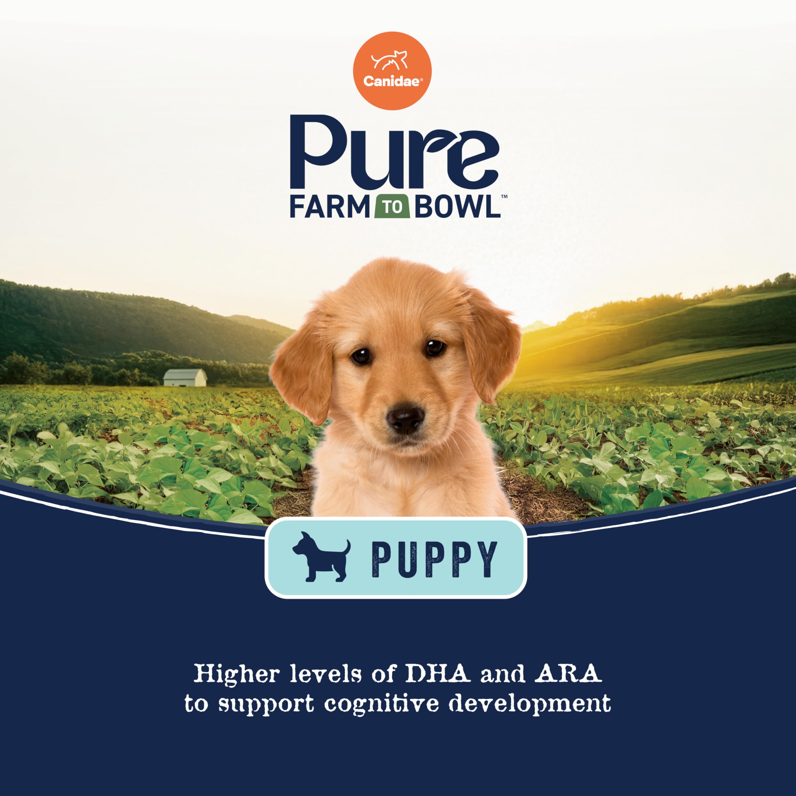 CANIDAE Pure de Granja sin granos, opción limpia para cachorro.
