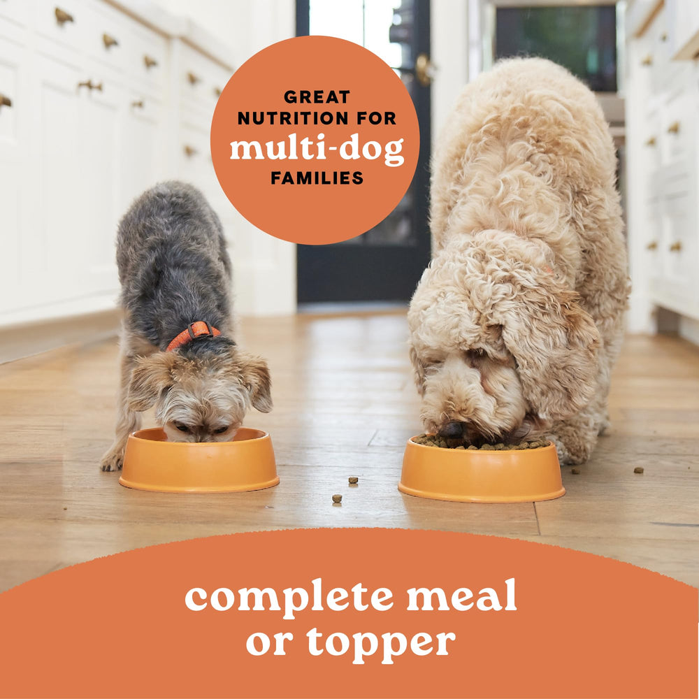 CANIDAE sin-maiz-trigo-soya pollo-arroz: fórmula limpia para perros sensibles.