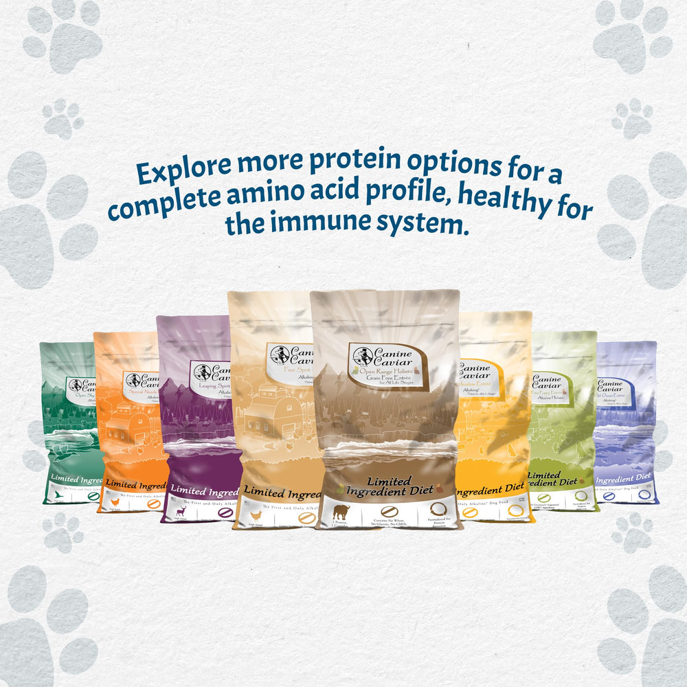Canine Caviar Omega 3:6, apoyo para un pelaje saludable.