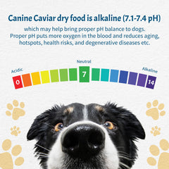 Canine Caviar Open Meadow sin subproductos ni conservantes, opción de alta pureza.