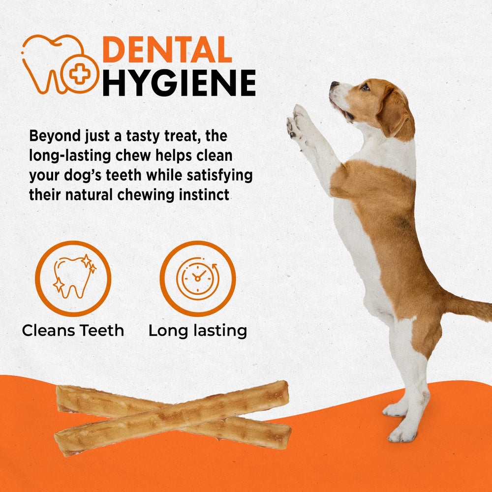 Caja Canine Naturals de 40 palitos, recompensa diaria para perros.