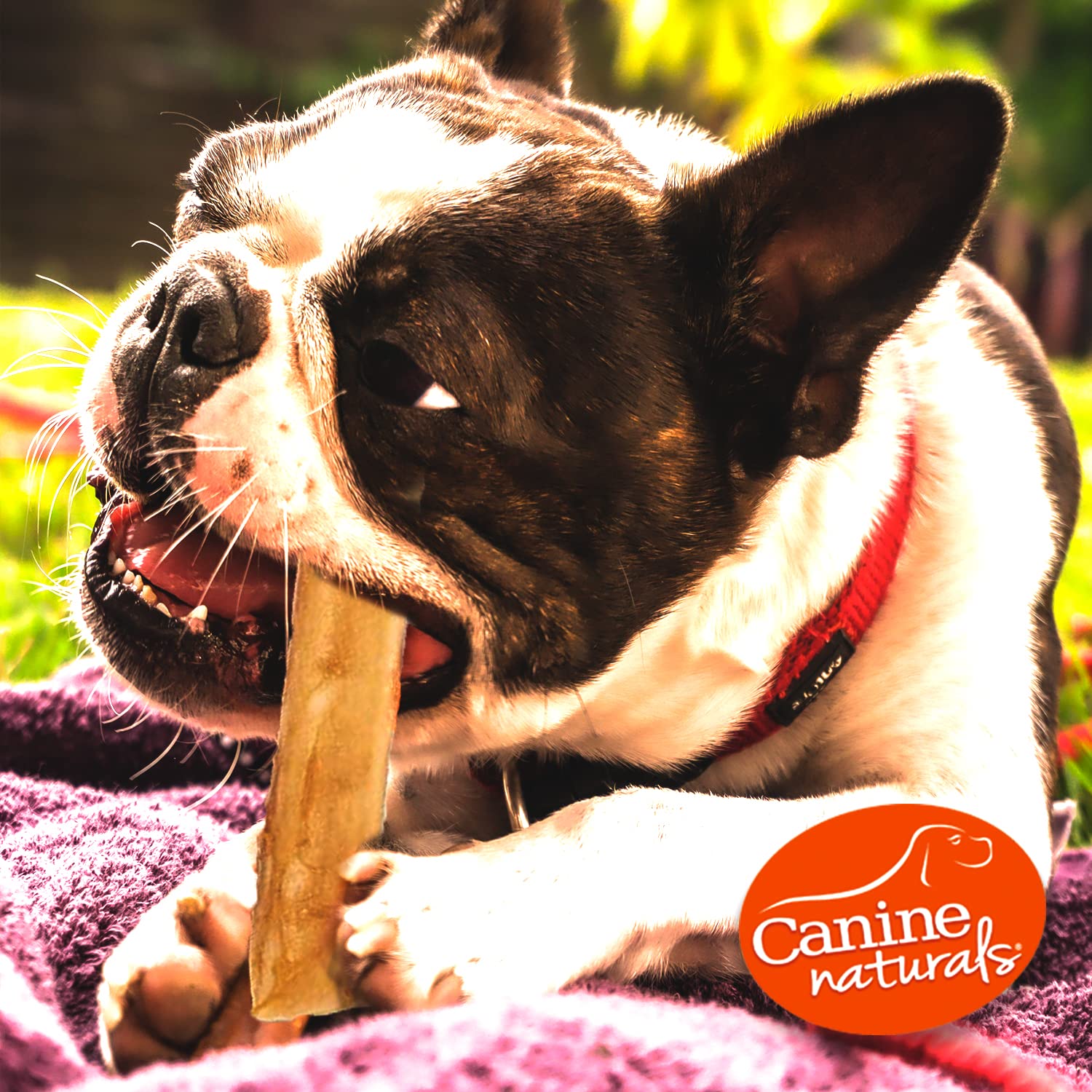Canine Naturals cuidado dental, masticación prolongada para higiene bucal