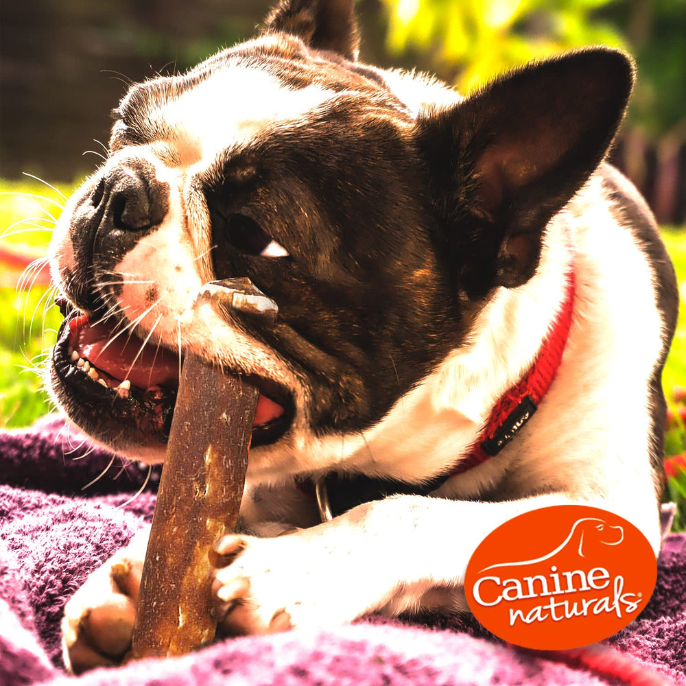 Canine Naturals ayuda a higiene dental durante la masticación prolongada