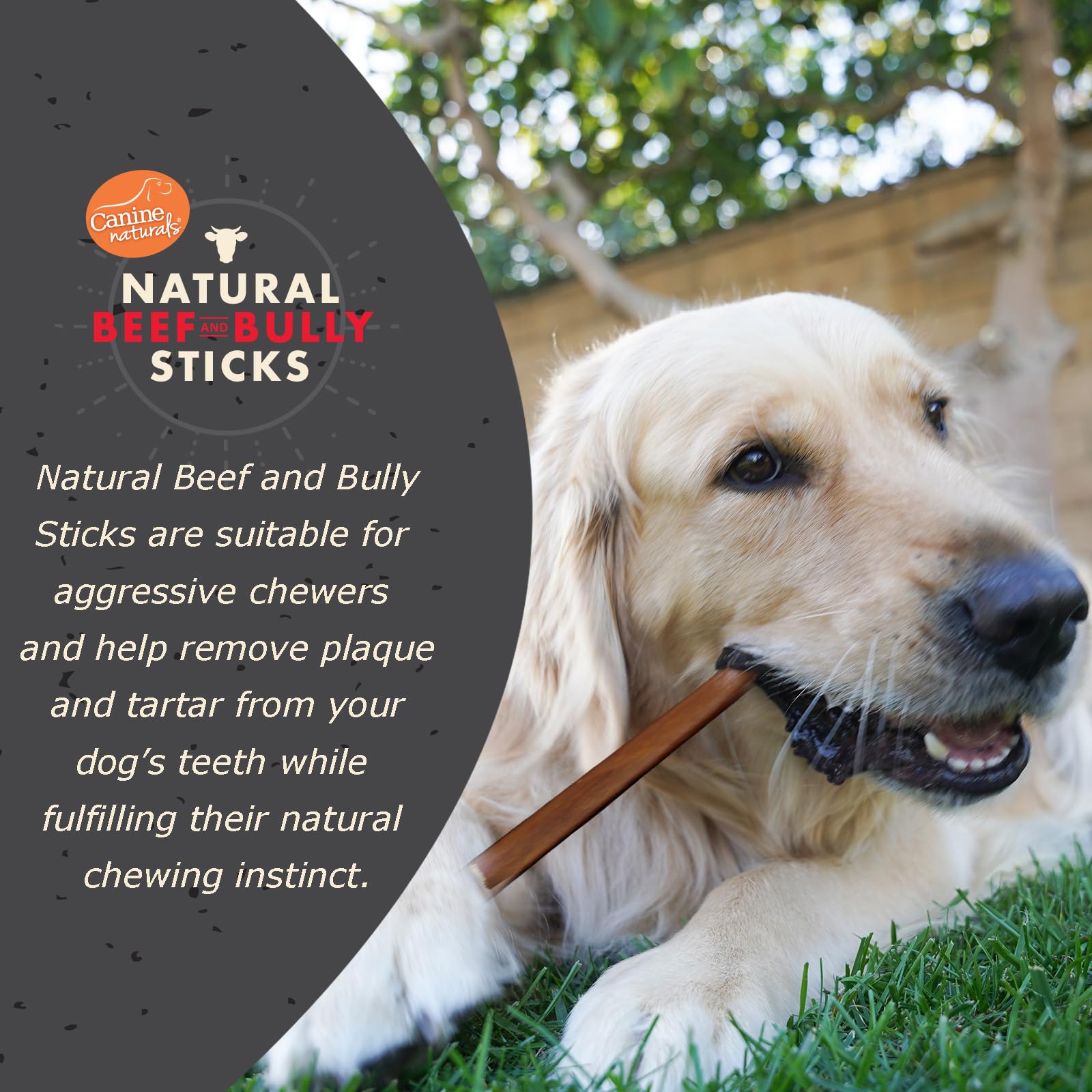 Canine Naturals Hueso de res grande duradero para perros activos.