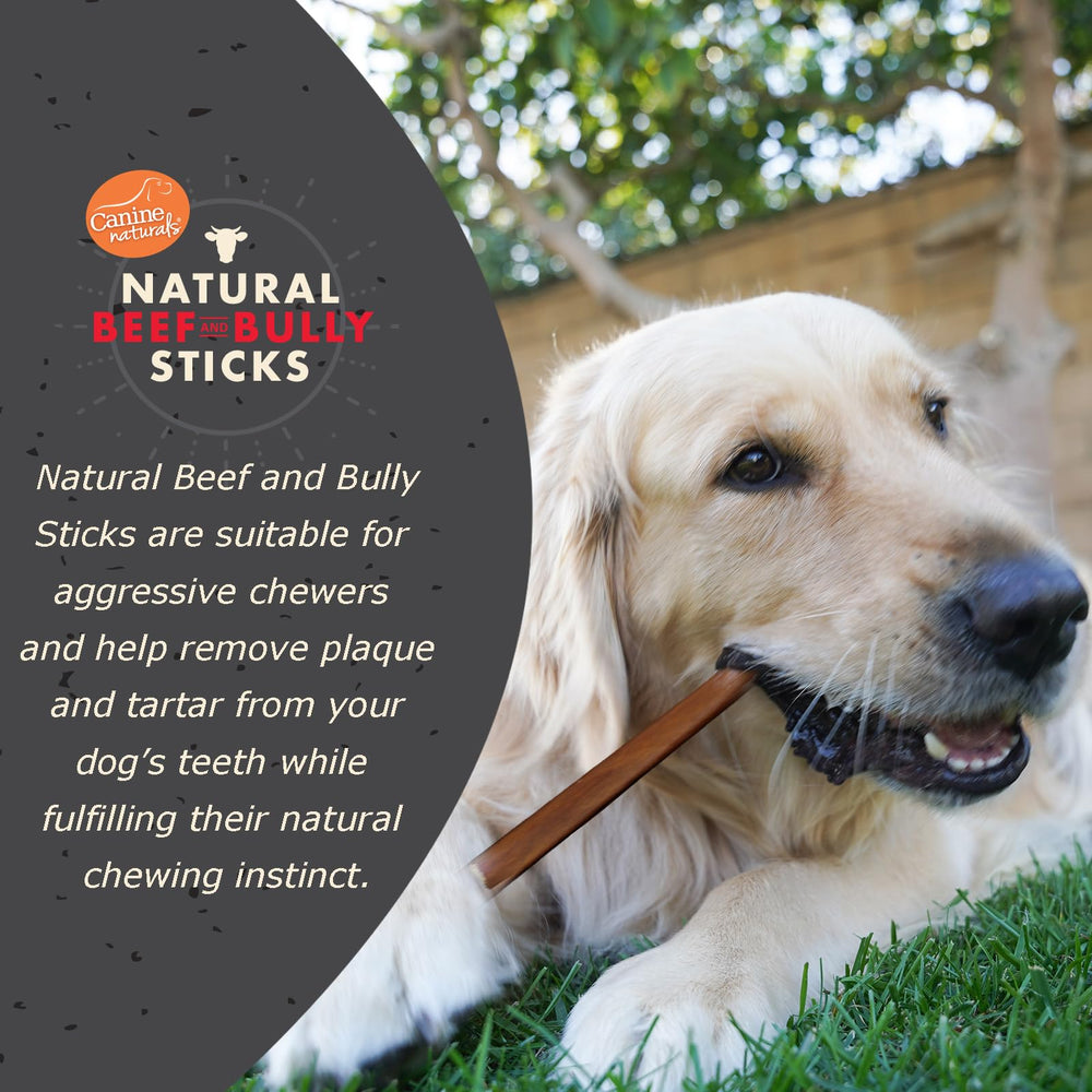 Canine Naturals Hueso de res grande duradero para perros activos.
