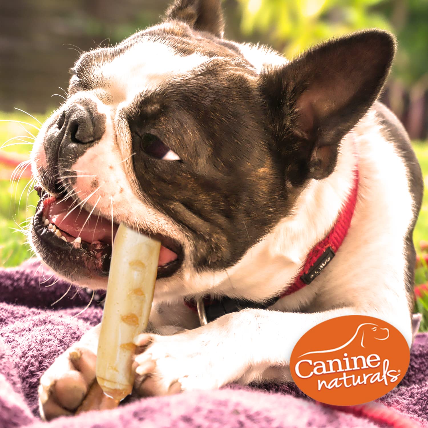 Canine Naturals: receta natural y sin gluten para perros