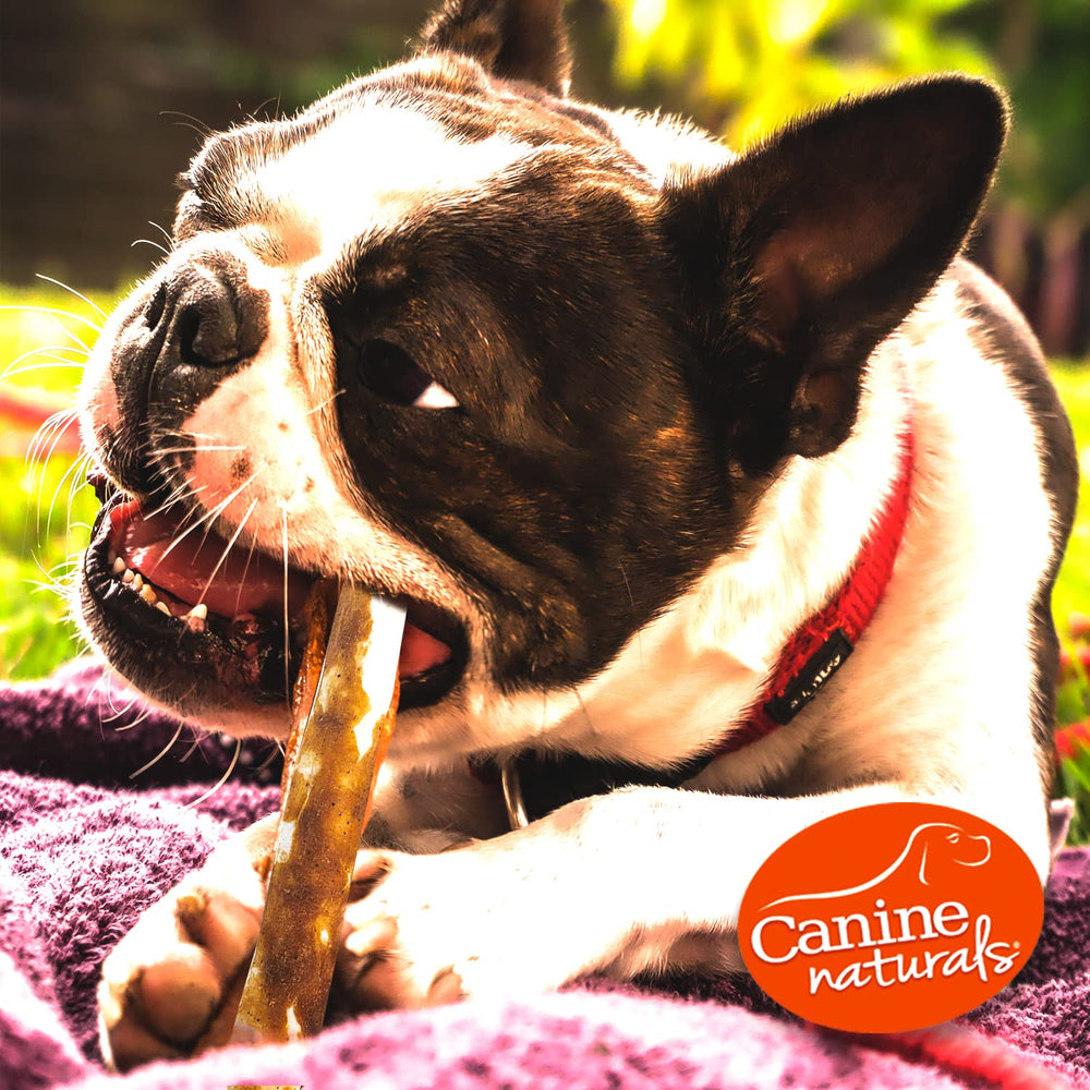 Canine Naturals masticables mantequilla mani 5 pulgadas – textura duradera para masticar.