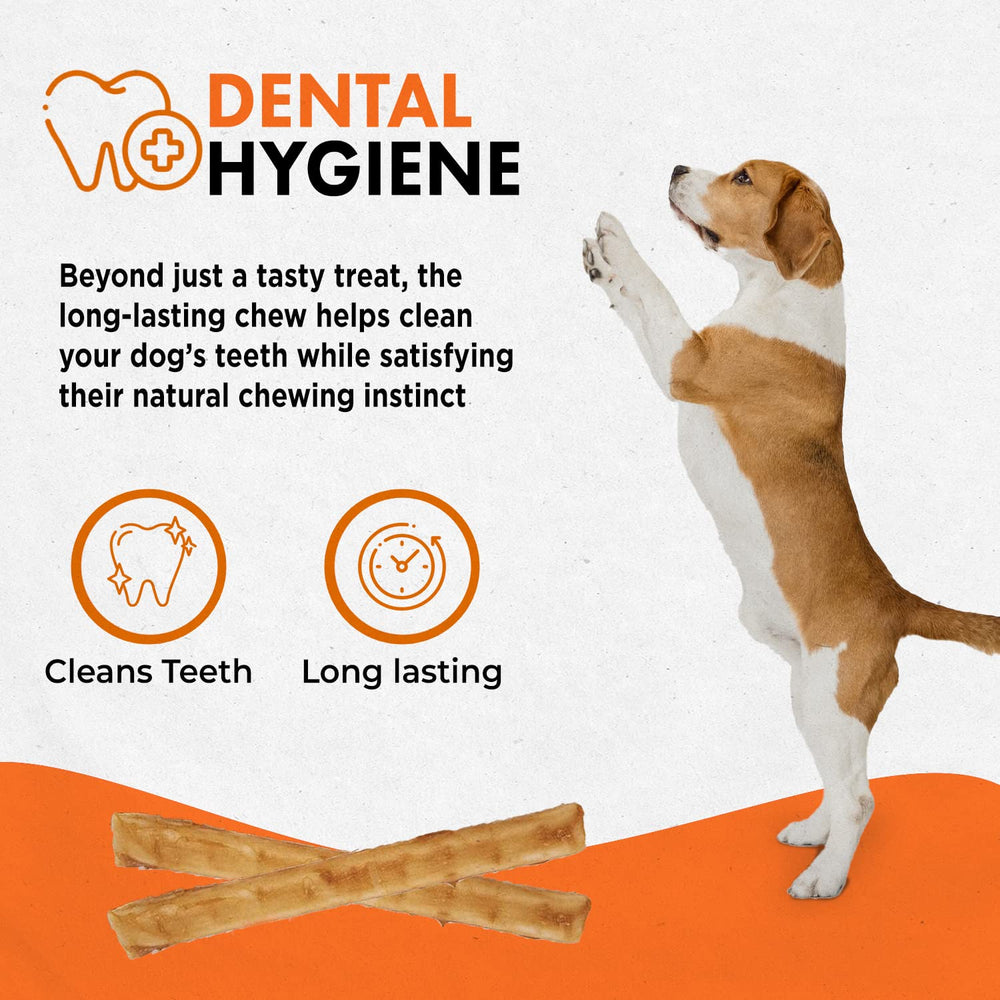 Canine Naturals sin gluten para una alternativa digestible y segura