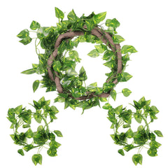 Canlierr lianas flexibles para reptiles, perfectas para trepar y jugar.