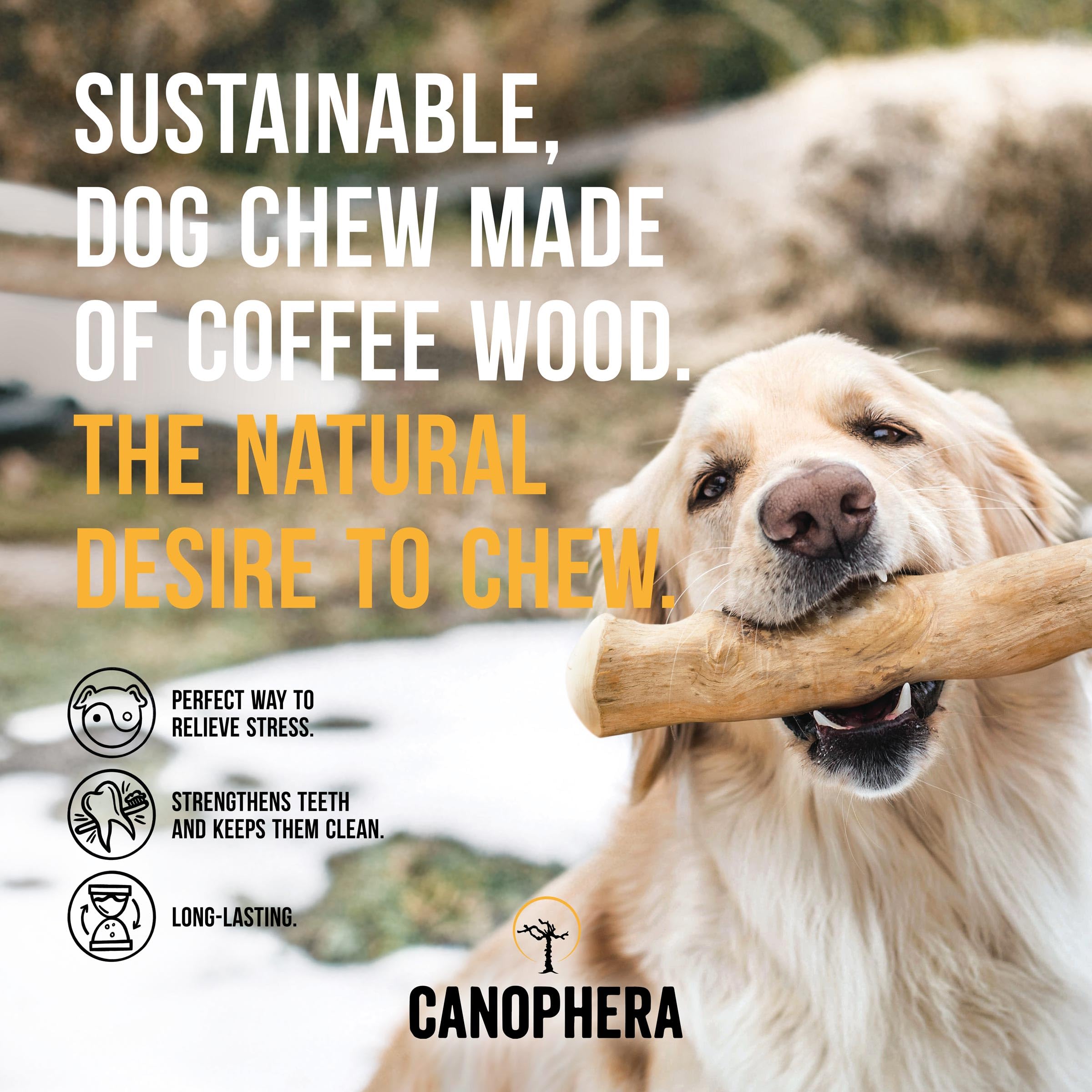Canophera producto dental de madera de café para perros, textura fibrosa.
