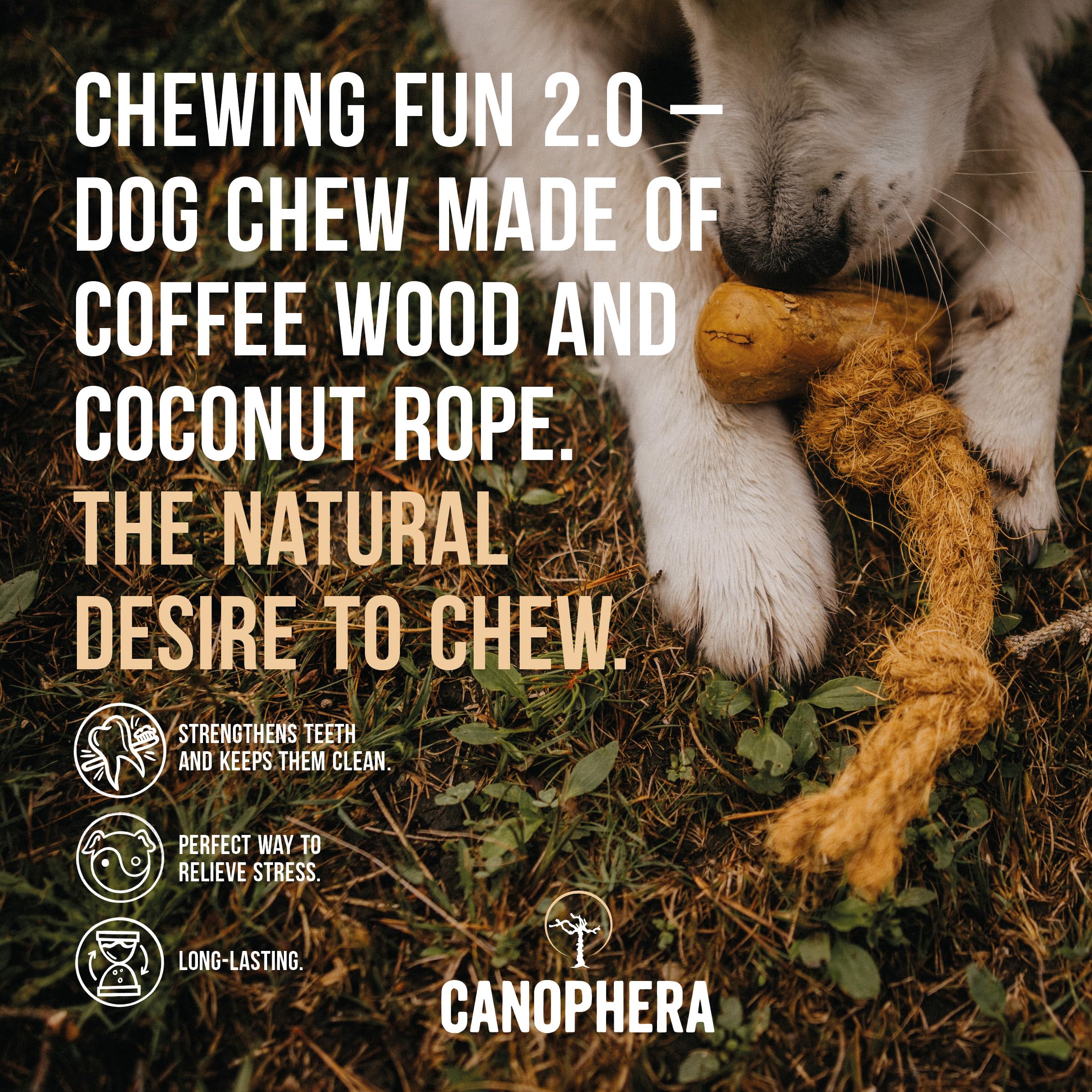 Canophera: madera de café natural para masticar seguro y juego prolongado.