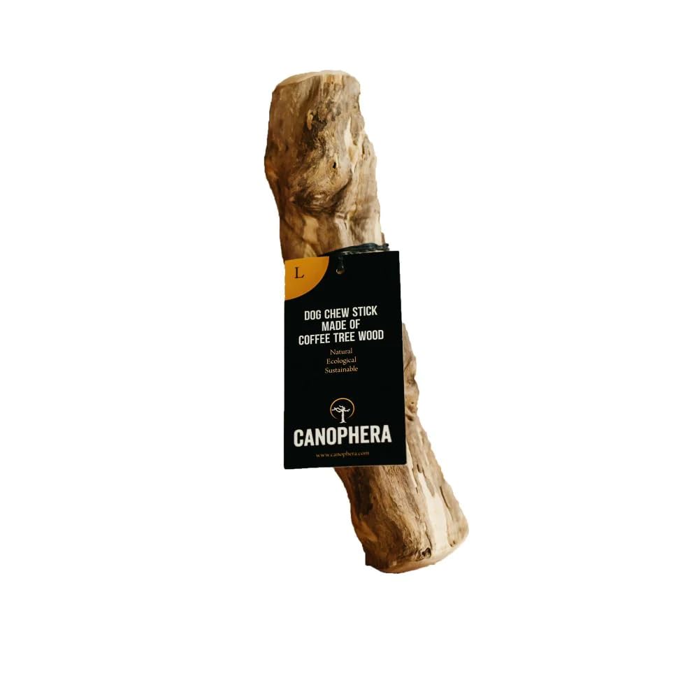 Canophera: palitos de madera de café para perros grandes, alivio natural y juego seguro.