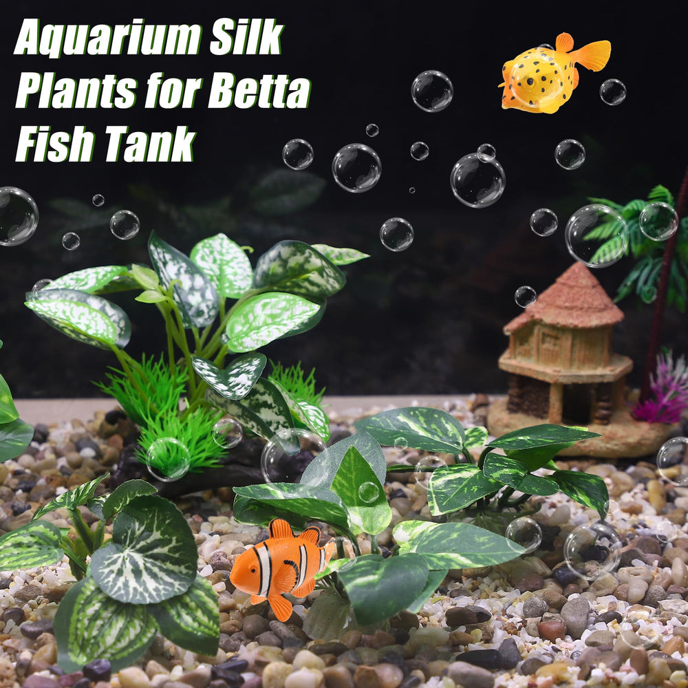 CAPASTEC plantas de acuario con tamaños variados para diseño.