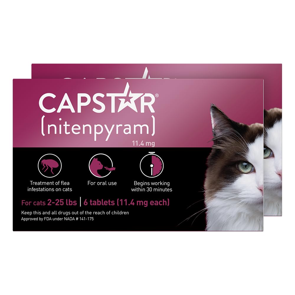 Gato cómodo tras dosis de Capstar