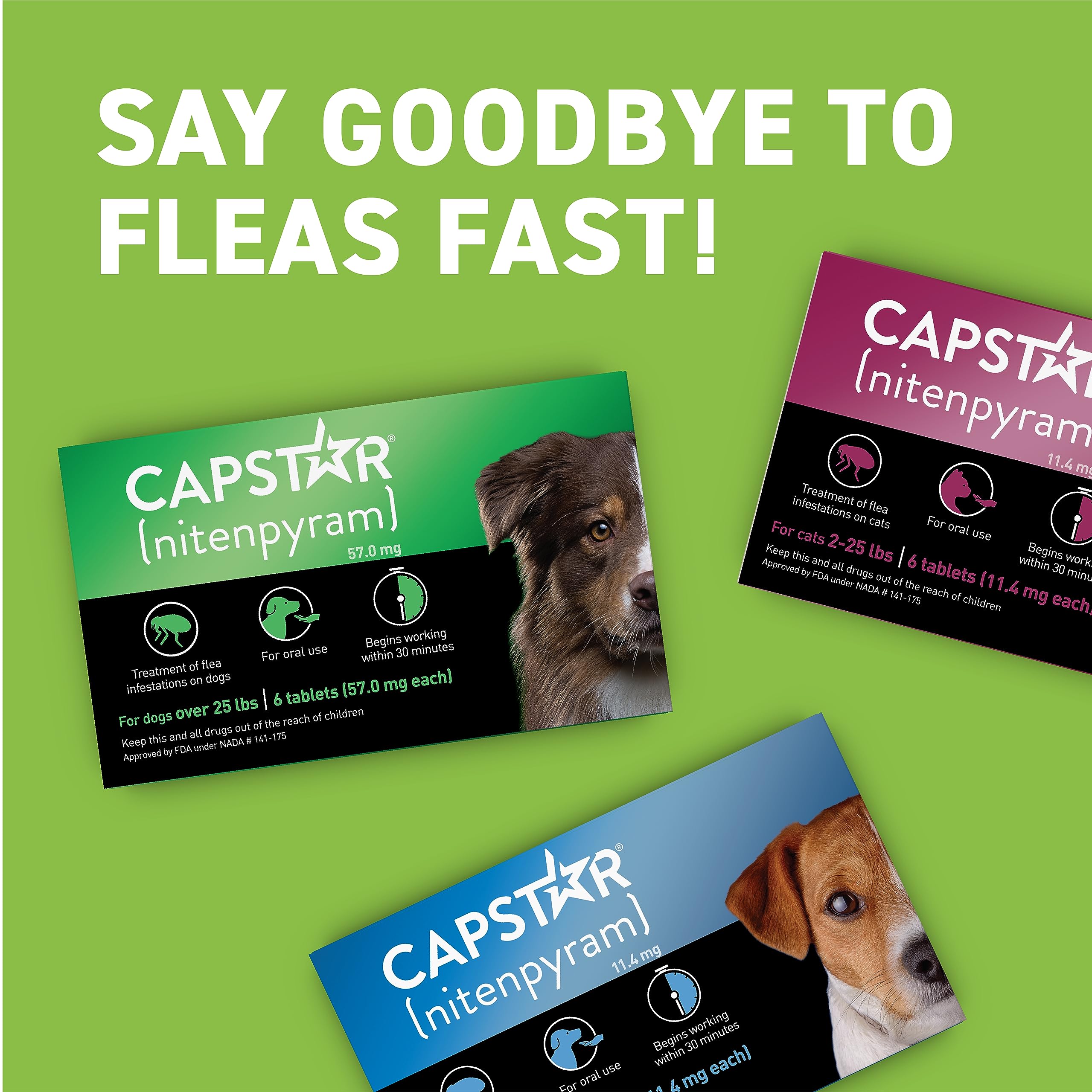 Capstar para perros de 25 a 125 libras: tratamiento práctico.