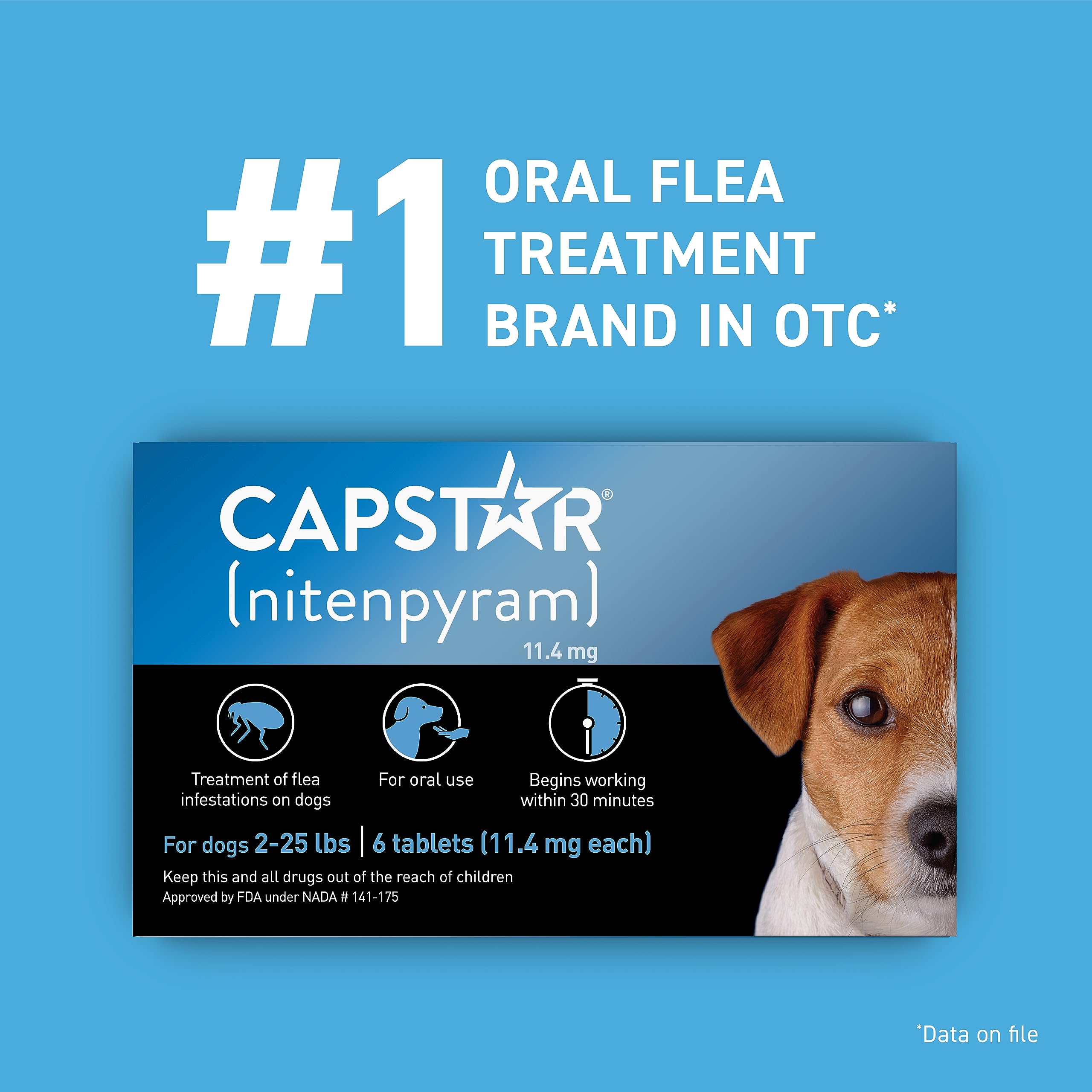 Perro tomando tableta Capstar, administración oral rápida