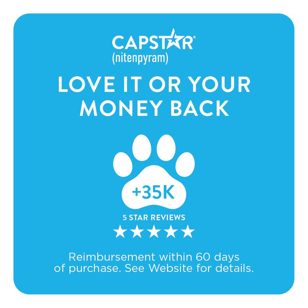 Capstar ayuda a mantener el pelaje libre de pulgas entre revisiones.