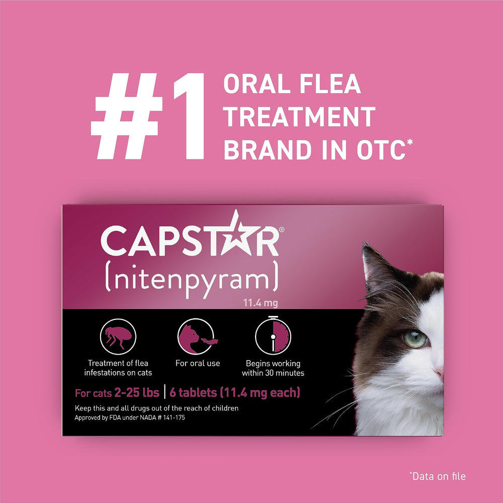 Capstar tableta en la mano, dosis oral rápida para gatos
