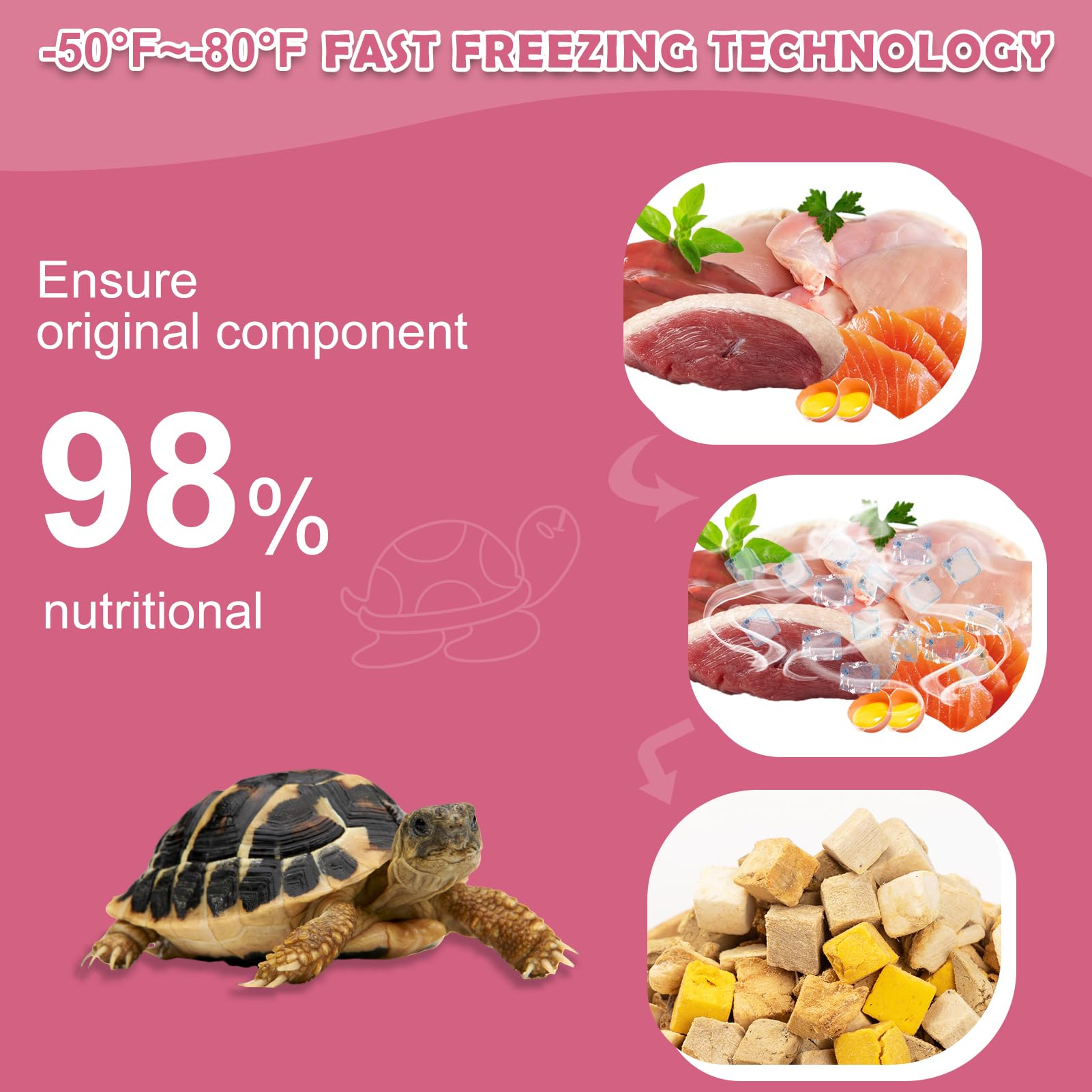 Capuca alimento tortuga acuática, rehidratación en agua para ingesta suave
