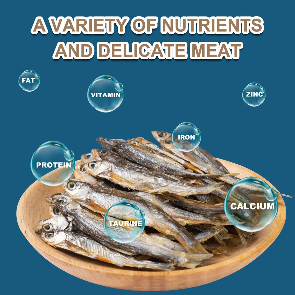 Capuca Minnows para dieta variada de peces tropicales