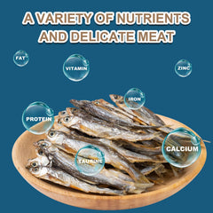 Capuca Minnows para dieta variada de peces tropicales