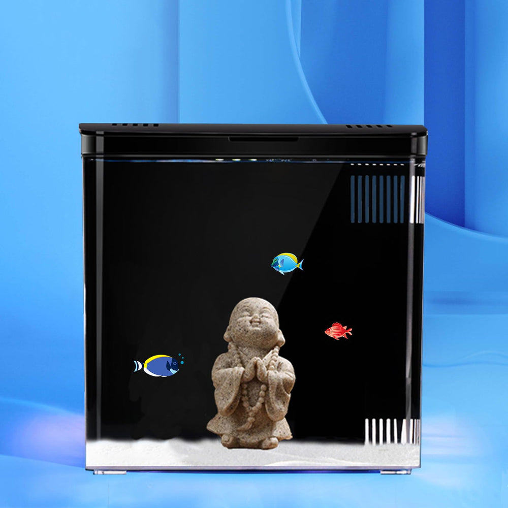 Carefree Fish, vista frontal del tanque, ideal para observar peces pequeños.