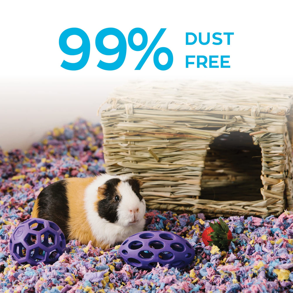 Carefresh prácticamente sin polvo, ambiente más limpio para la mascota.
