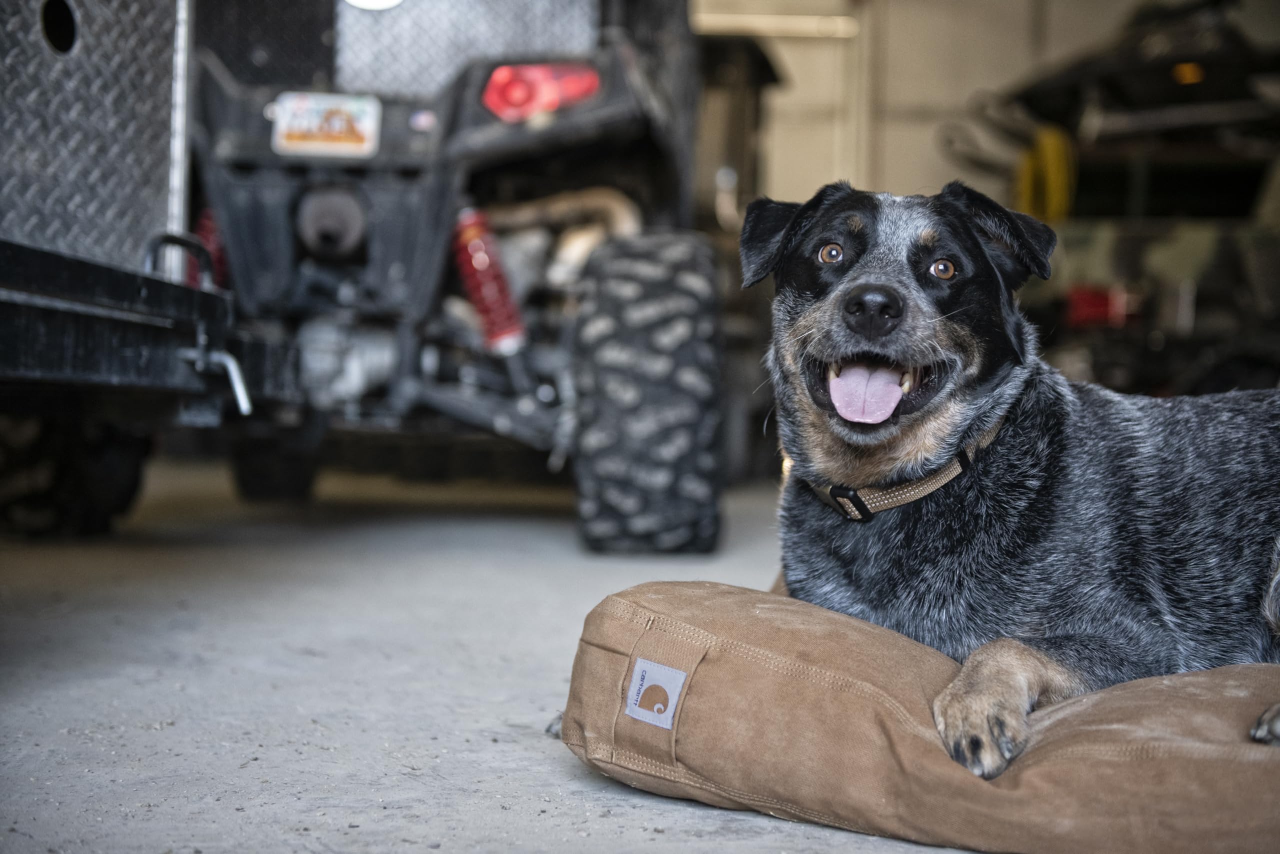 Carhartt cama para perros, dimensiones grandes, ideal para perros de tamaño medio a grande.