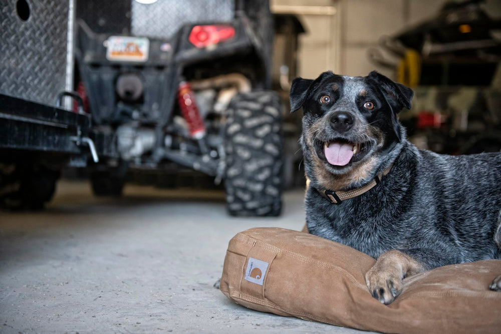Carhartt cama para perros, dimensiones grandes, ideal para perros de tamaño medio a grande.