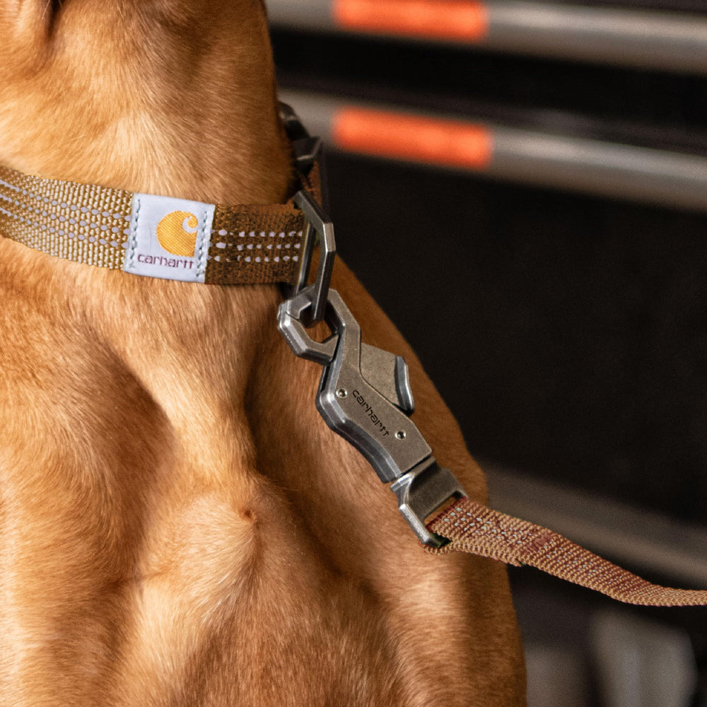 Correa Carhartt de 6 pies por 1 pulgada, ideal para paseos largos