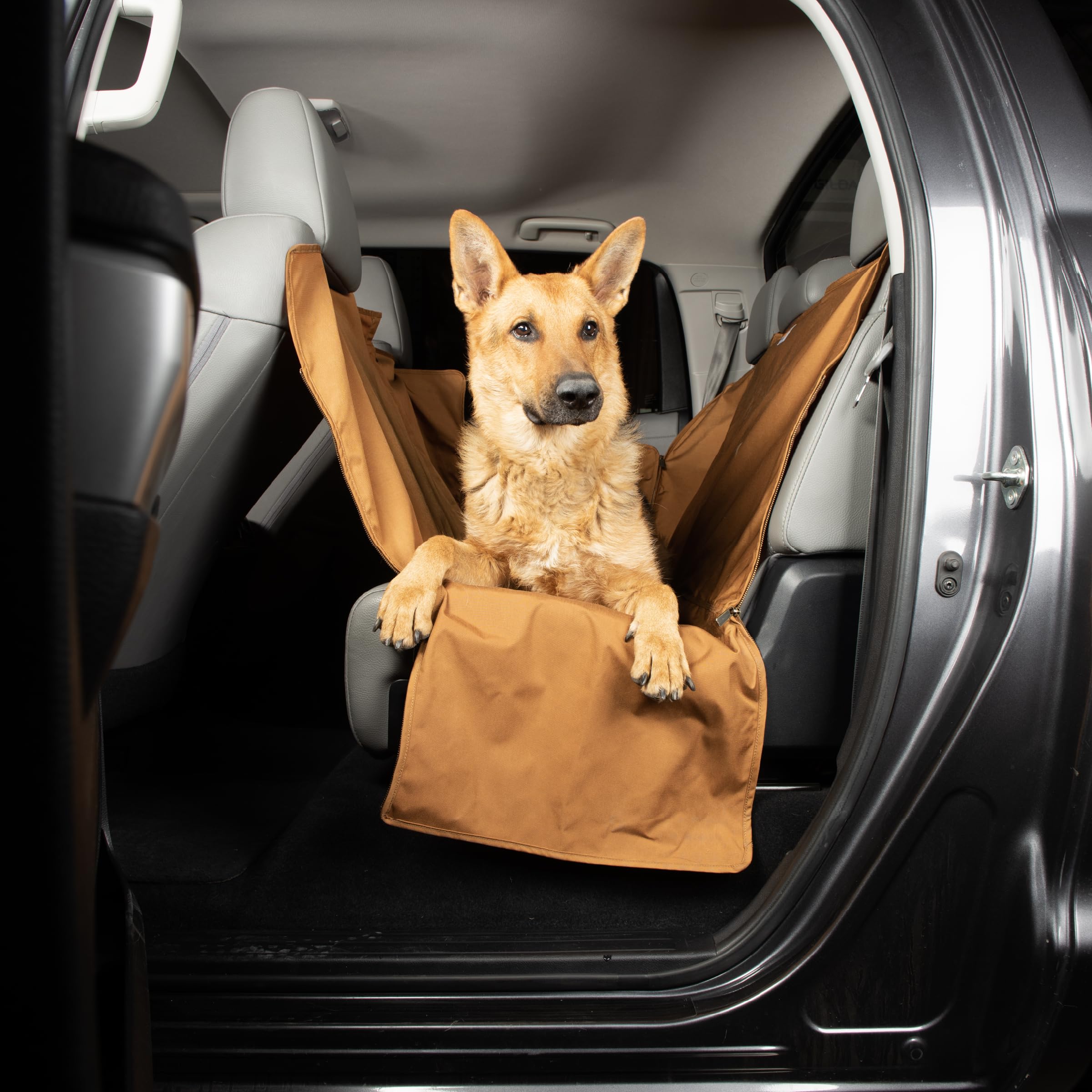 Carhartt diseño duradero para viajes con perro