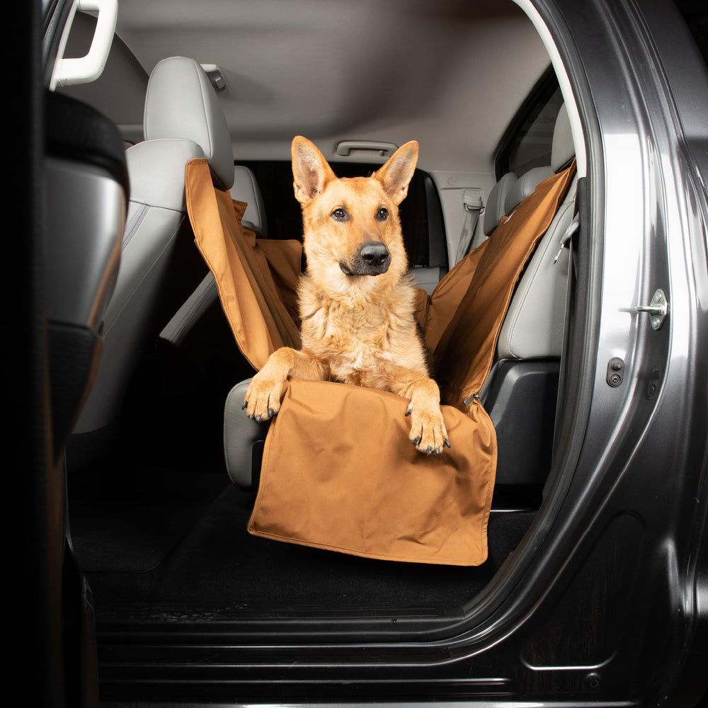 Carhartt diseño duradero para viajes con perro