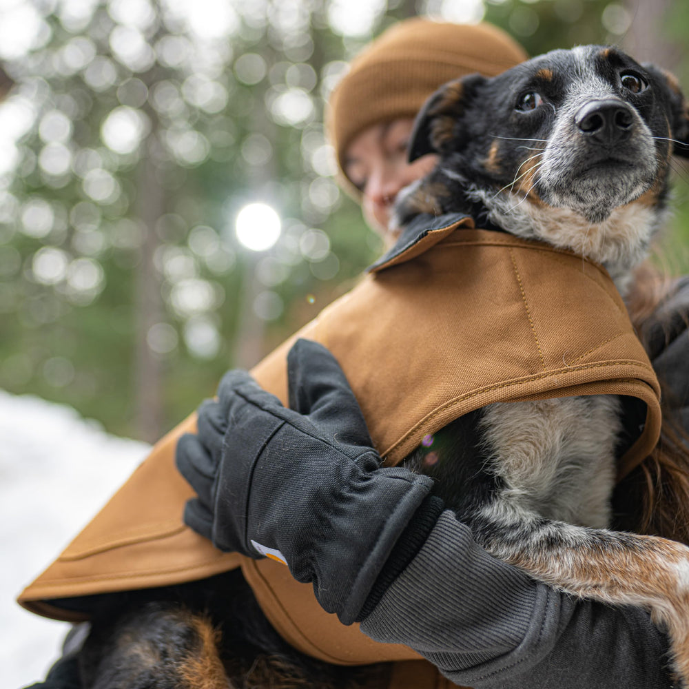 Carhartt exterior repelente al agua, lona impermeable para climas fríos