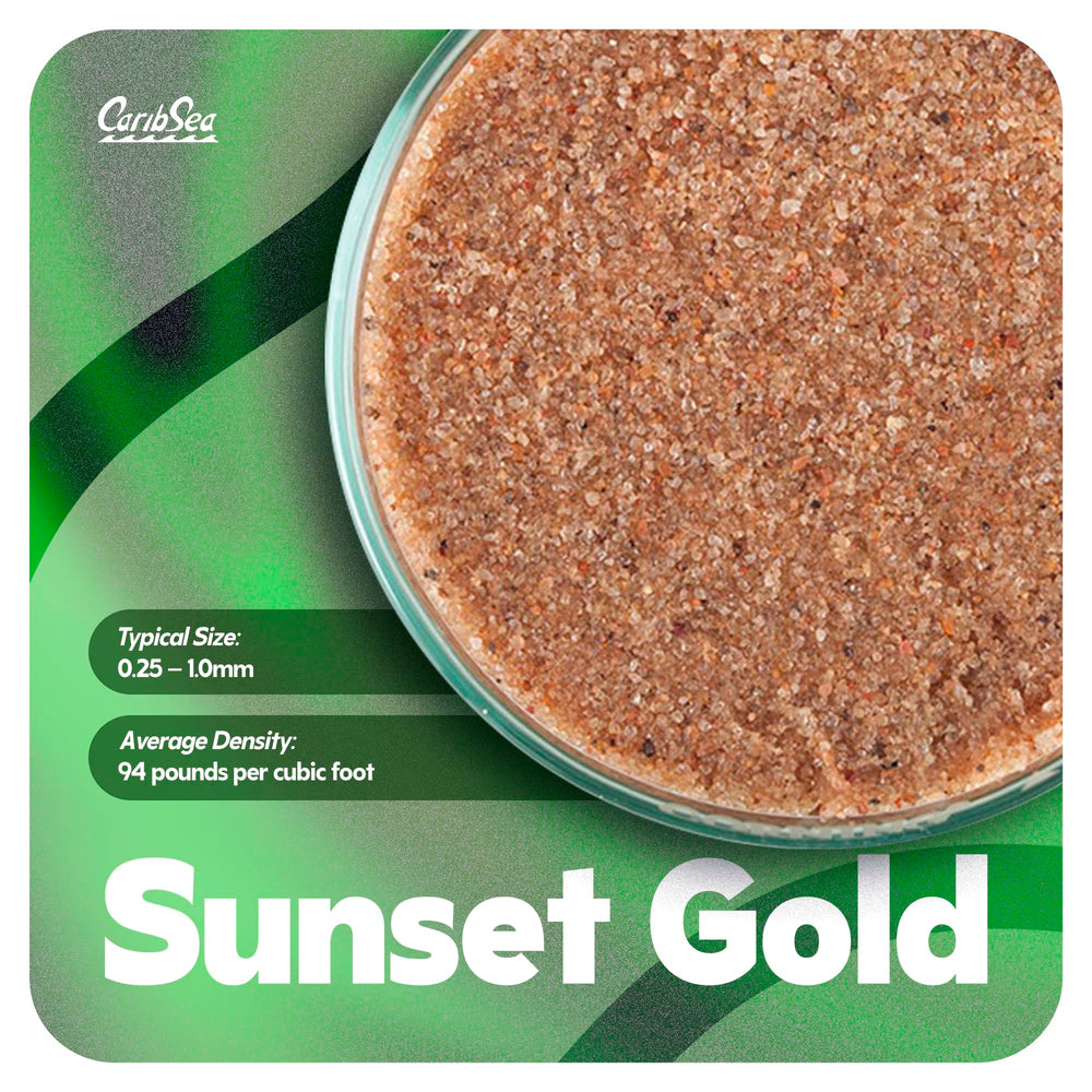 Carib Sea Sunset Gold, mantenimiento sencillo para acuarios limpios y vivos.