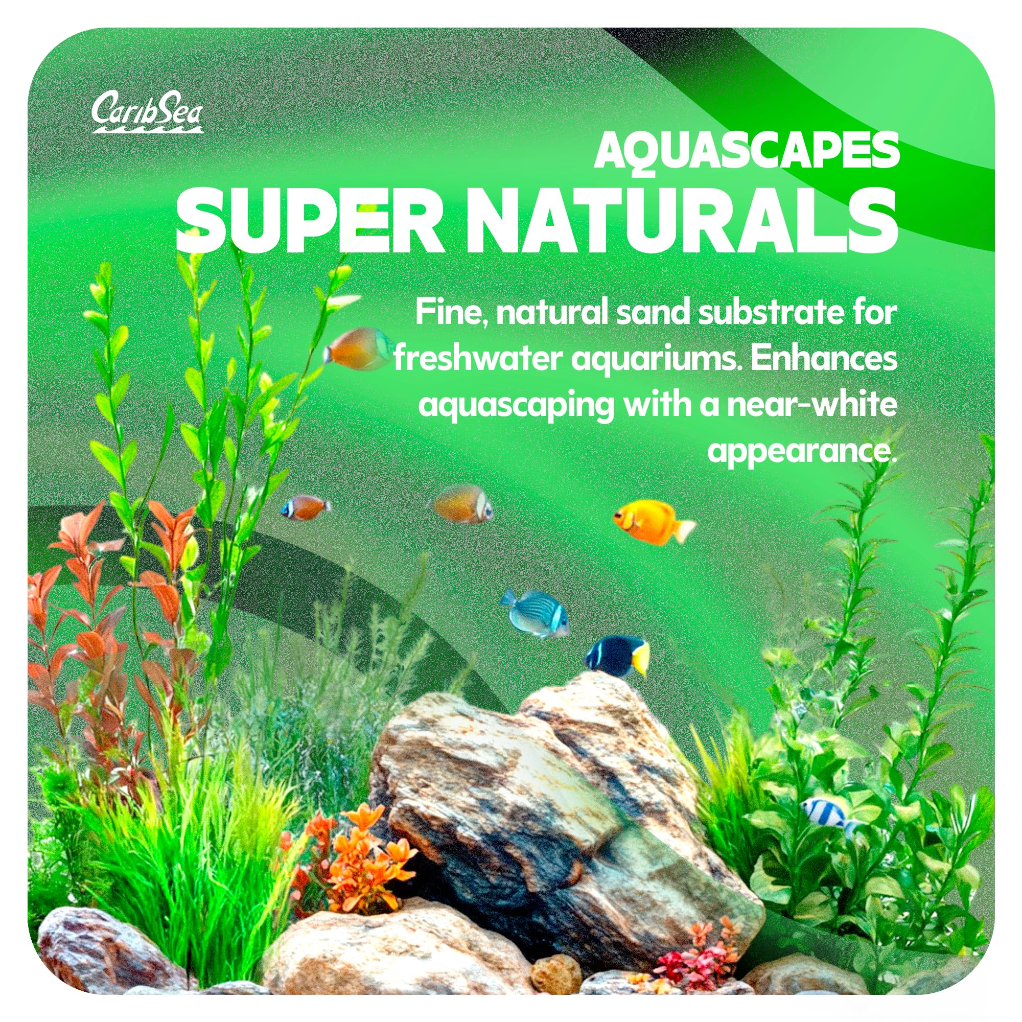 Textura arena Moonlight, grano suave para un acuario limpio.