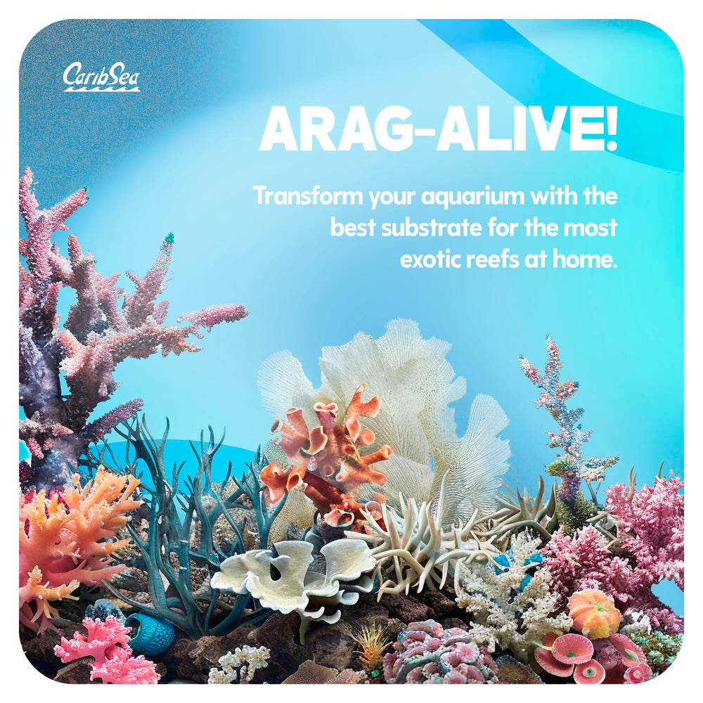 CaribSea Arag-Alive Bimini Pink Sand, grano fino, ideal para crecimiento de corales y filtración biológica.