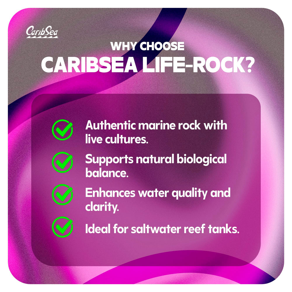 CaribSea LifeRock Dreamscapes: arquitectura de roca para acuarios