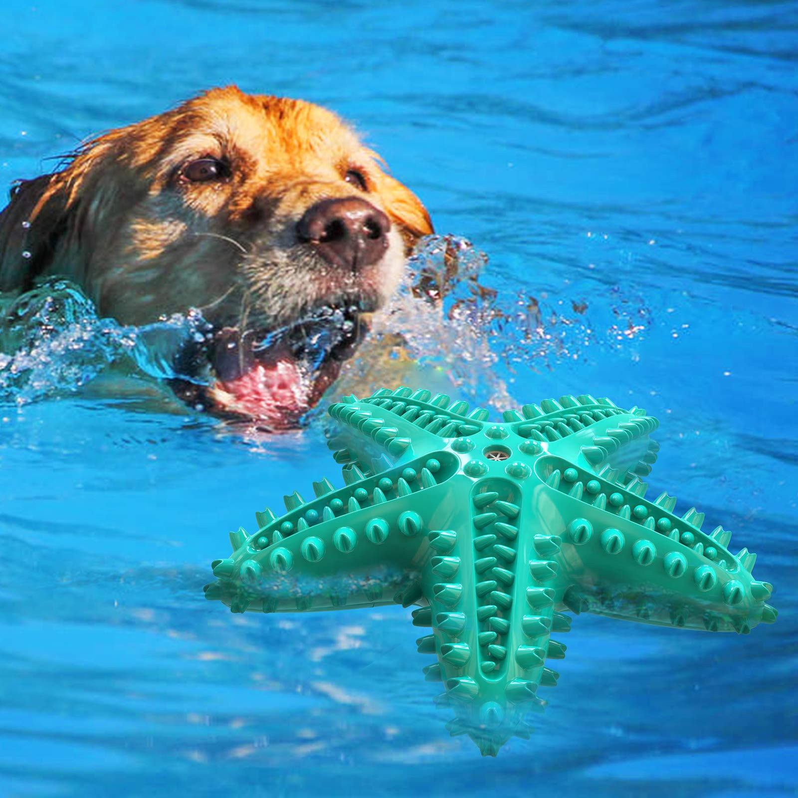 Carllg Juguete estrella de mar para perros de todos los tamaños, uso diario recomendado.