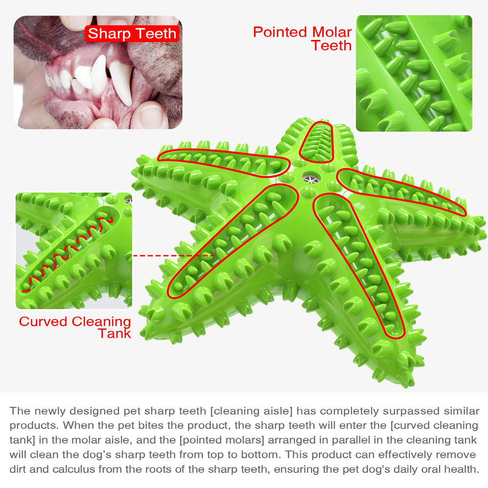 Carllg estrella de mar juego interactivo: estímulo dental y entretenimiento seguro.