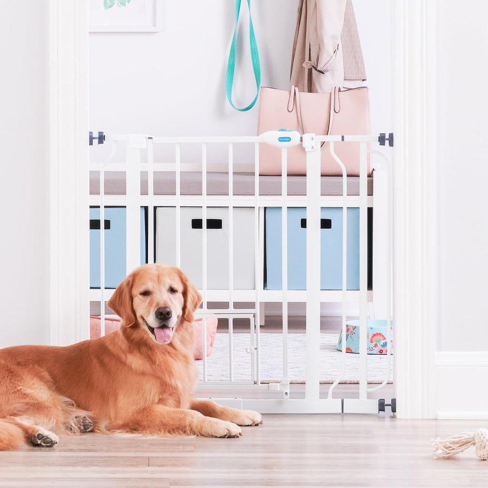 Carlson Uso interior seguro ideal para pasillos y puertas