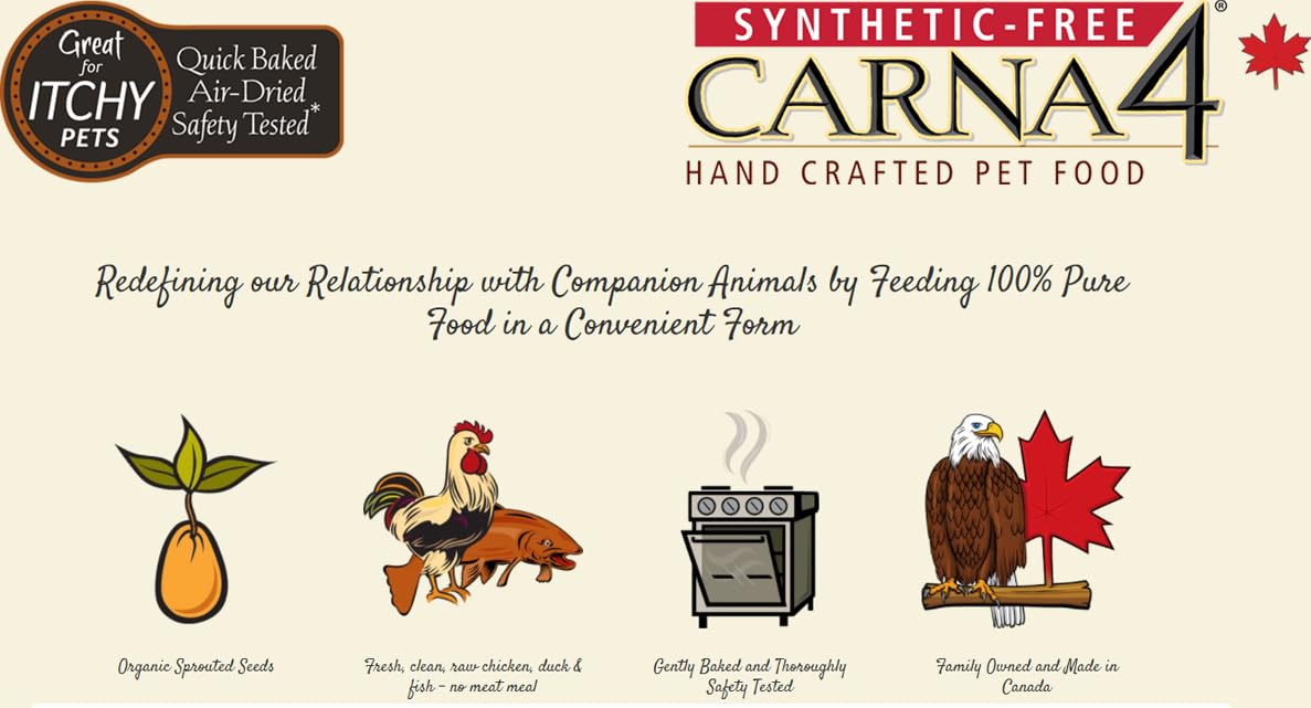 CARNA4 nutrición completa para perros de todas las edades durante la rutina diaria