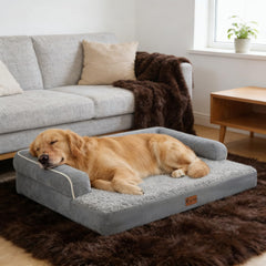 Casa Paw cama ortopédica XXL con laterales de apoyo para mayor confort.