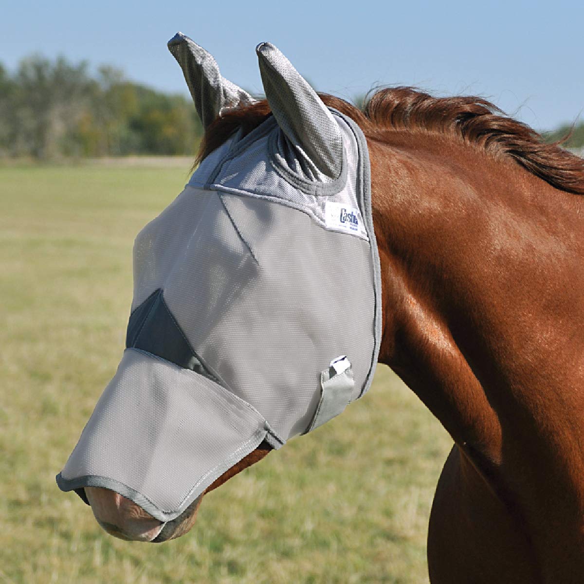 Cashel Crusader: detalle de visor que mantiene insectos fuera y mejora la visibilidad.