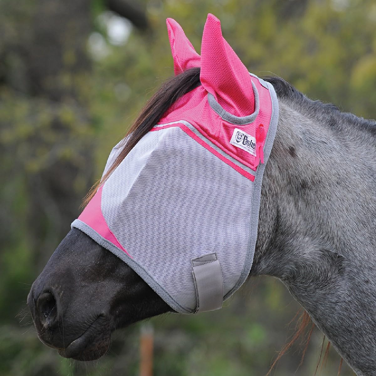 Cashel Crusader, máscara antiinsectos para caballos con orejas rosadas, confort y protección UV.