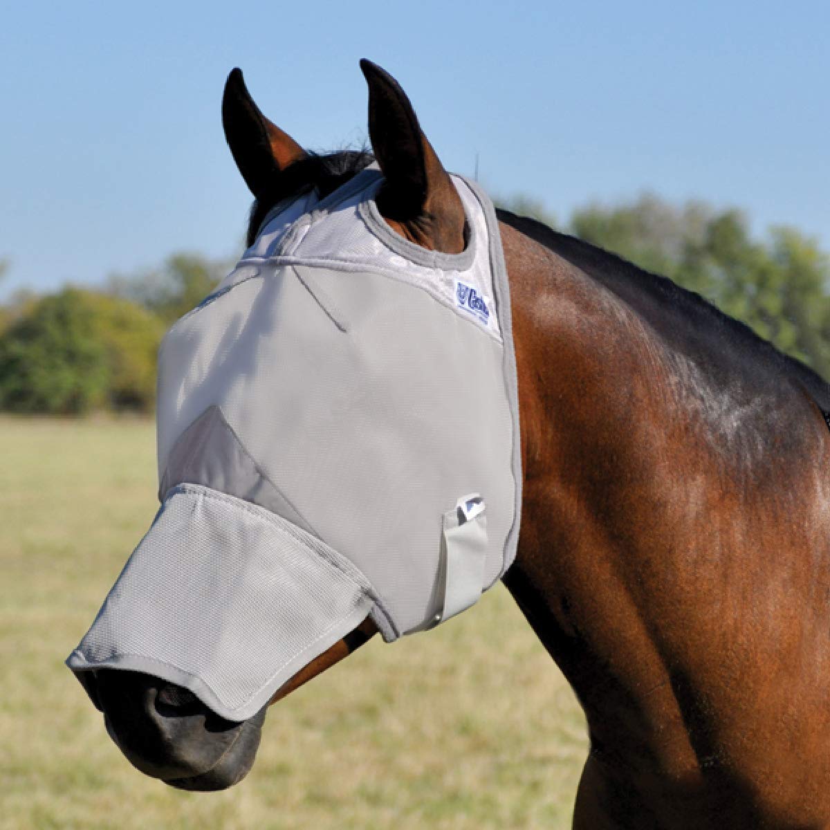Cashel Crusader, protección ocular antimoscas, visión sin obstrucciones para caballos activos.