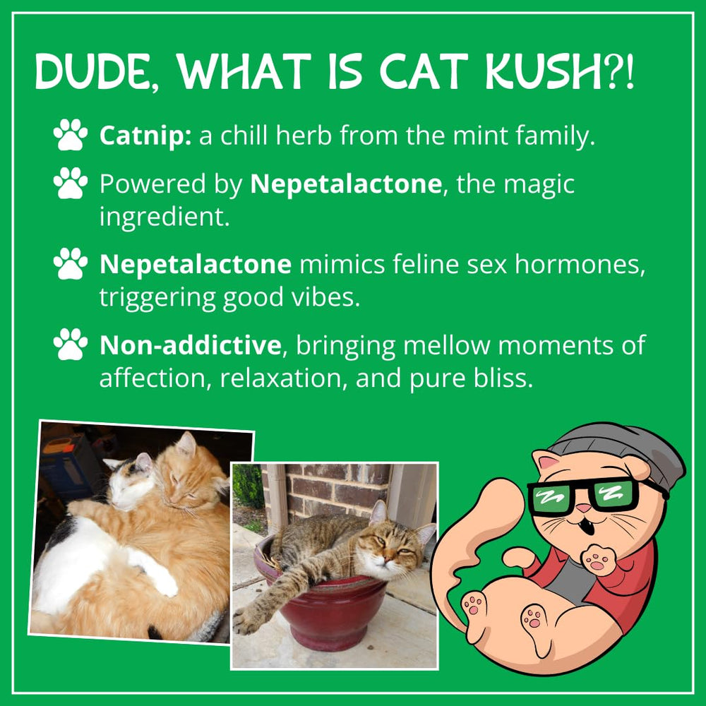 Cat Kush Catnip aroma natural: estimula interés por juguetes y postes