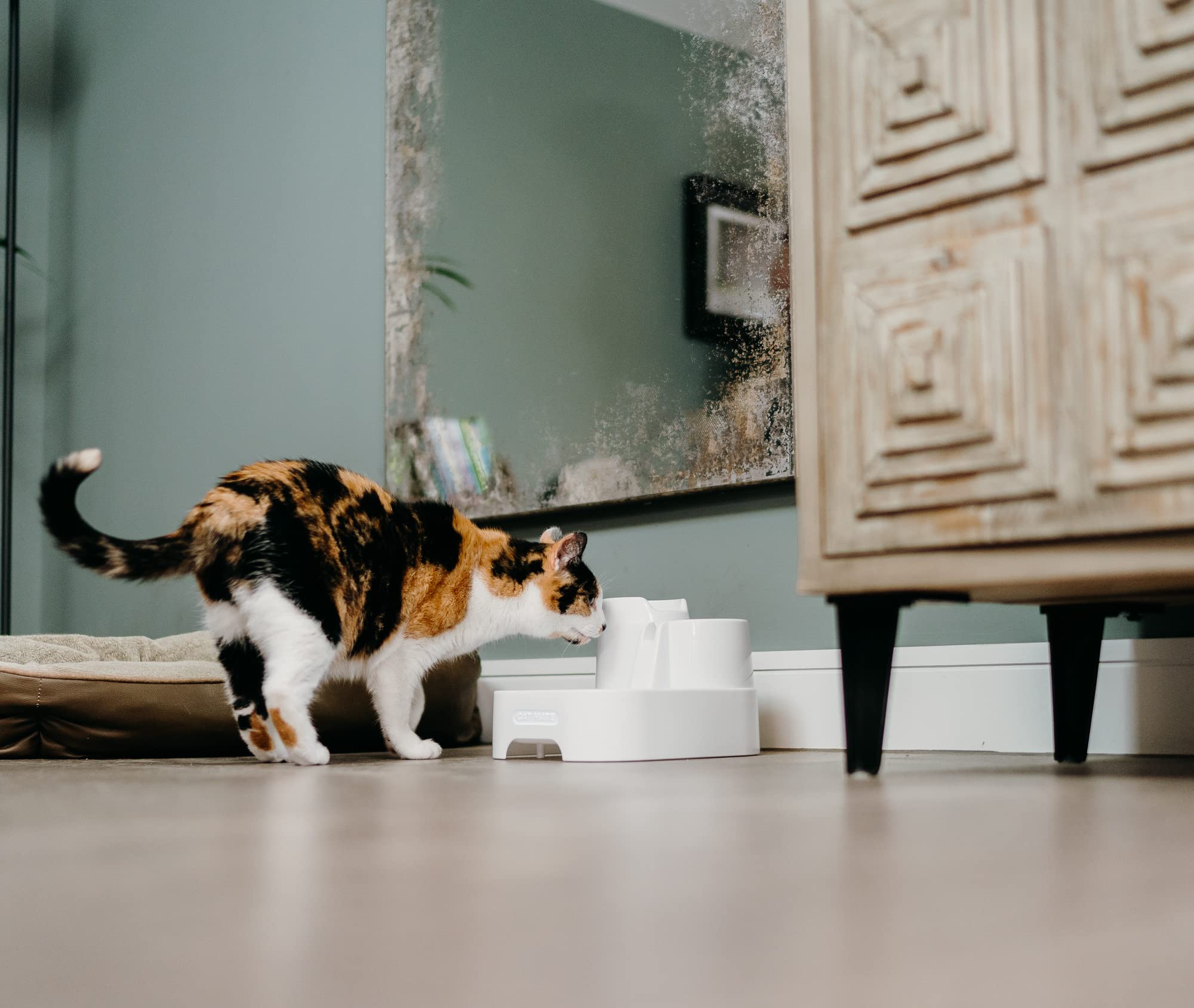 Cat Mate fuente multinivel apta para lavavajillas facilita limpieza.