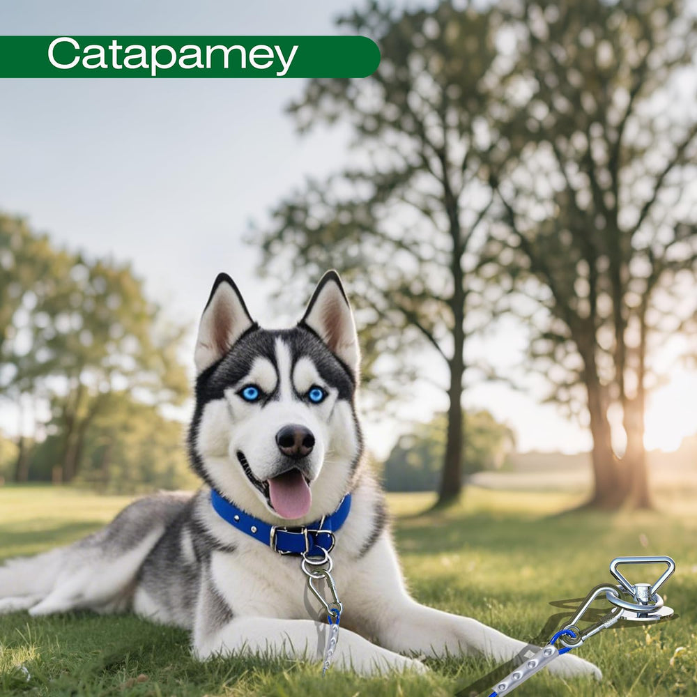 Catapamey uso al aire libre y camping, ideal para patios amplios