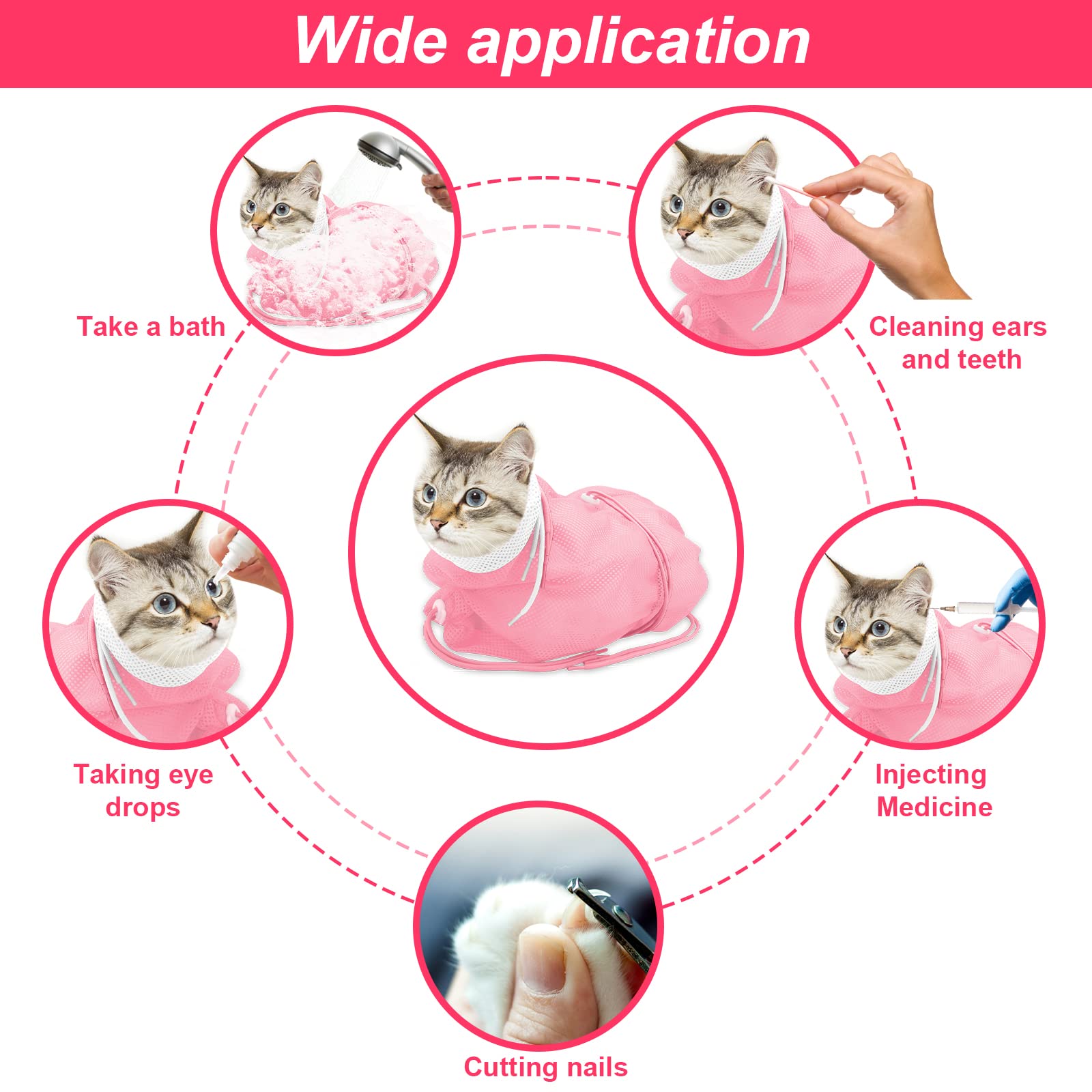 Catcan chat dans le sac bain montre le cadre sécurisé.